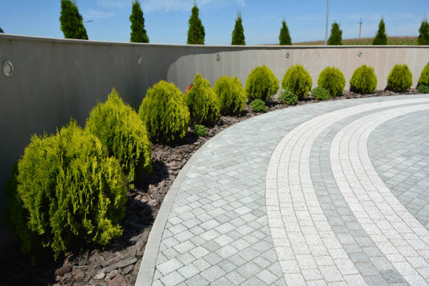 Best Brick Driveway Pavers  in Las Campanas, NM
